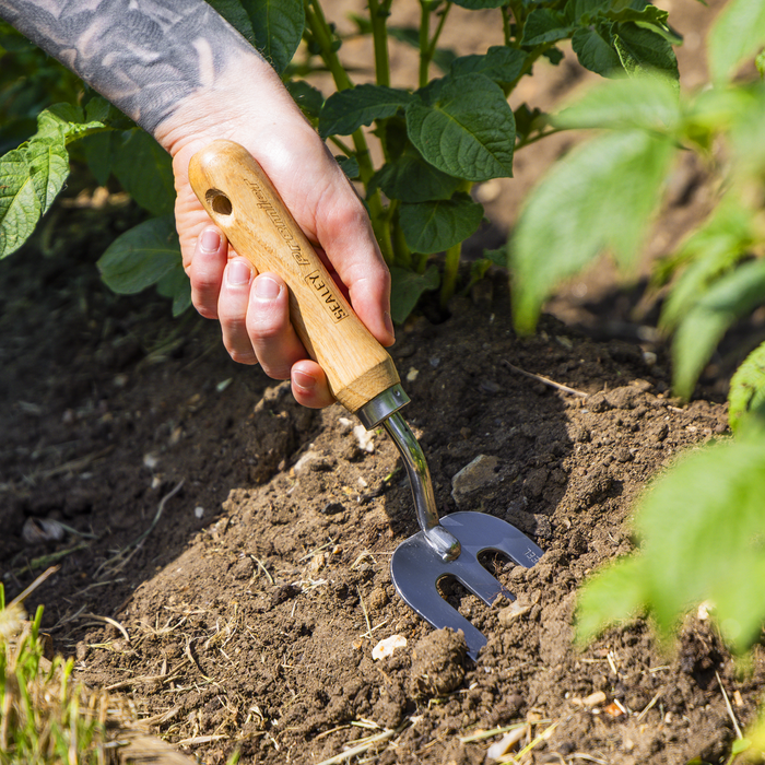 Premier Garden Hand Fork with Ash Handle & Stainless Steel Tines | GTWH007