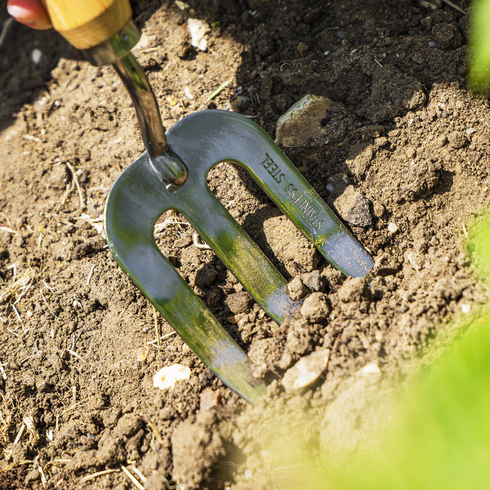 Premier Garden Hand Fork with Ash Handle & Stainless Steel Tines | GTWH007