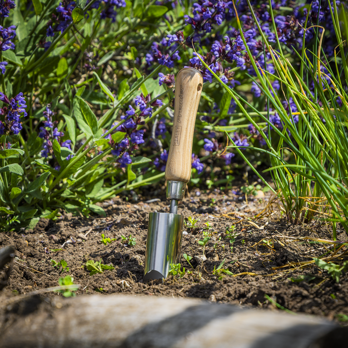 Premier Planter with Ash Handle & Stainless Steel Head | GTWH008