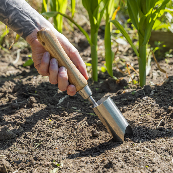 Premier Planter with Ash Handle & Stainless Steel Head | GTWH008