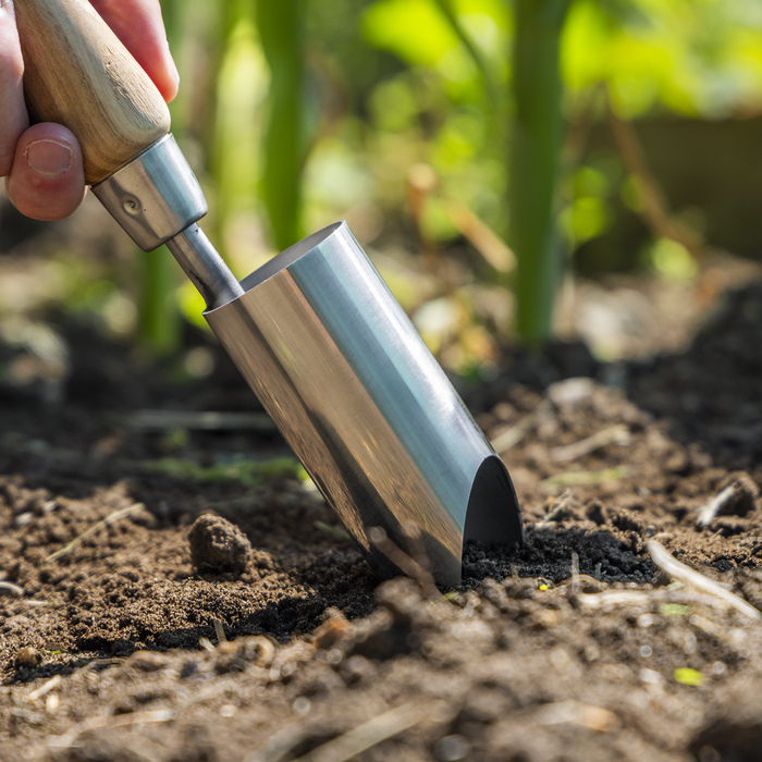 Premier Planter with Ash Handle & Stainless Steel Head | GTWH008