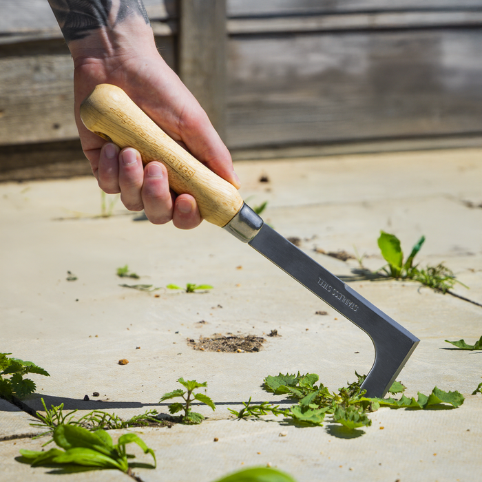 Premier Weeding Knife with Ash Handle & Stainless Steel Blade | GTWH009