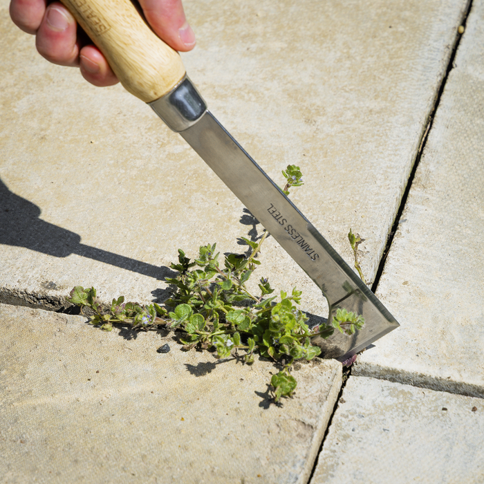 Premier Weeding Knife with Ash Handle & Stainless Steel Blade | GTWH009