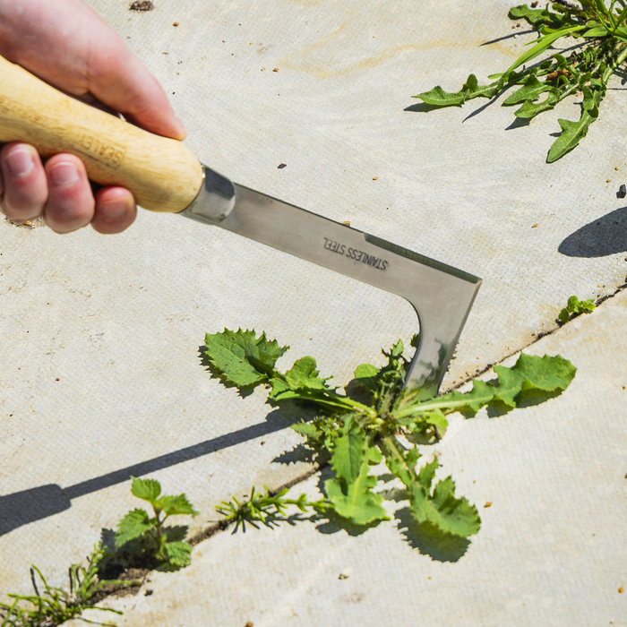 Premier Weeding Knife with Ash Handle & Stainless Steel Blade | GTWH009