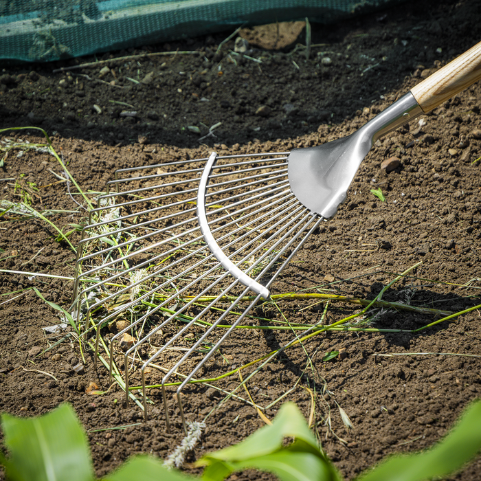 Premier Lawn Rake with Long Ash Handle & Stainless Steel Tines | GTWH010