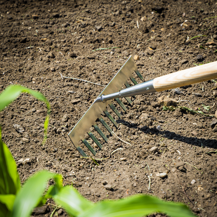 Premier Garden Rake with Long Ash Handle & Stainless Steel Tines | GTWH011