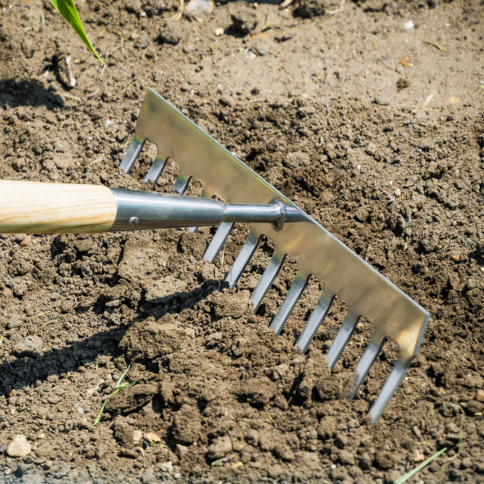Premier Garden Rake with Long Ash Handle & Stainless Steel Tines | GTWH011
