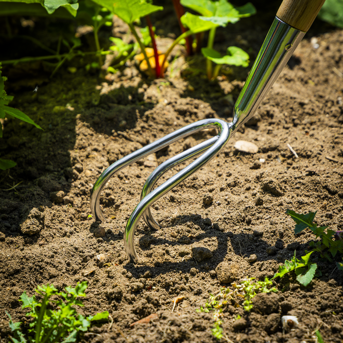 Premier Garden Cultivator with Ash Handle & Stainless Steel Tines | GTWH012