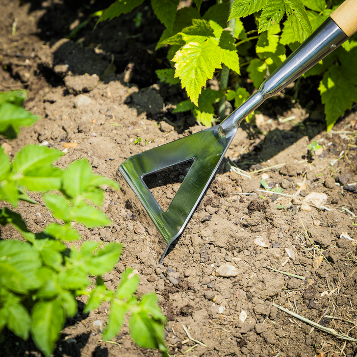 Premier Dutch Hoe with Long Ash Handle & Stainless Steel Blade | GTWH013