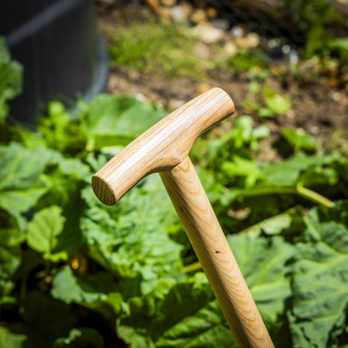 Premier Lawn Edger with Long Ash Handle & Stainless Steel Blade | GTWH014