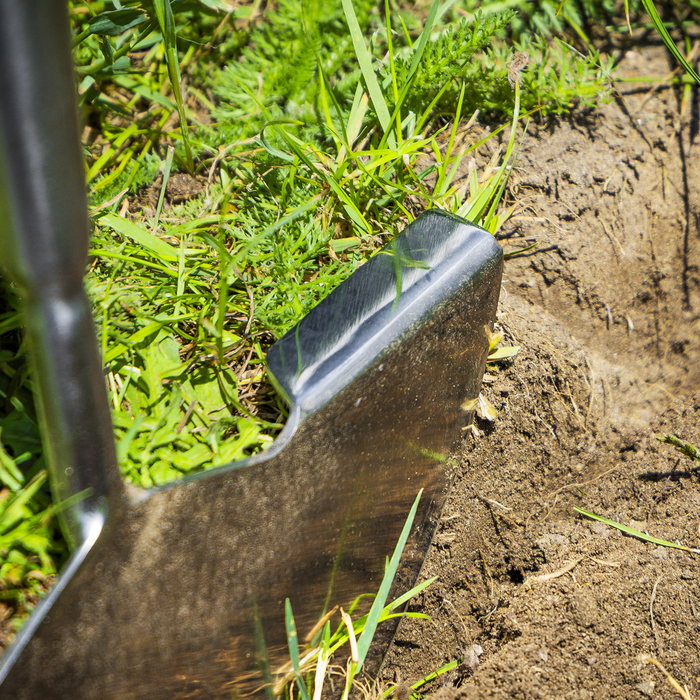 Premier Lawn Edger with Long Ash Handle & Stainless Steel Blade | GTWH014