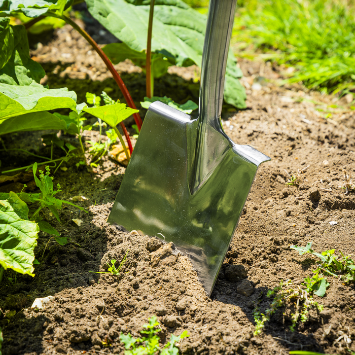 Premier Digging Spade with Ash Y Handle & Stainless Steel Blade | GTWH015