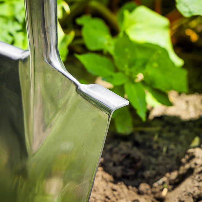 Premier Digging Spade with Ash Y Handle & Stainless Steel Blade | GTWH015