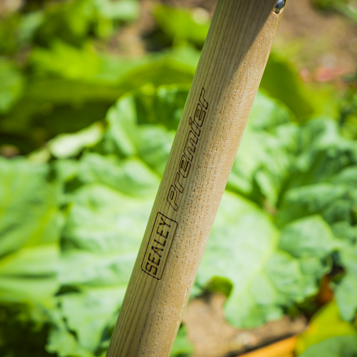 Premier Digging Spade with Ash Y Handle & Stainless Steel Blade | GTWH015