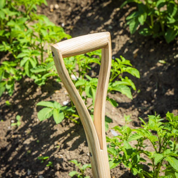 Premier Digging Fork with Ash Handle & Stainless Steel Tines | GTWH016