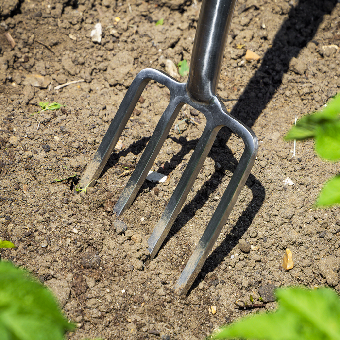 Premier Digging Fork with Ash Handle & Stainless Steel Tines | GTWH016