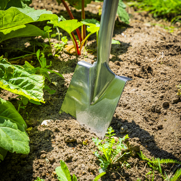 Premier Border Spade with Ash Y Handle & Stainless Steel Blade | GTWH017