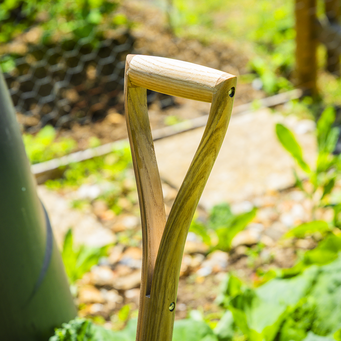 Premier Border Fork with Ash Handle & Stainless Steel Tines | GTWH018