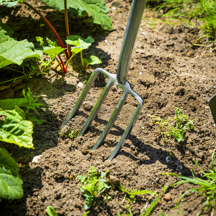 Premier Border Fork with Ash Handle & Stainless Steel Tines | GTWH018