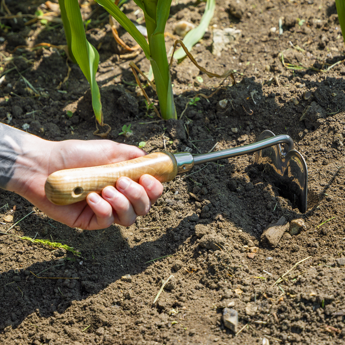 Premier Mini Hoe with Ash Handle & Stainless Steel Blade | GTWH019