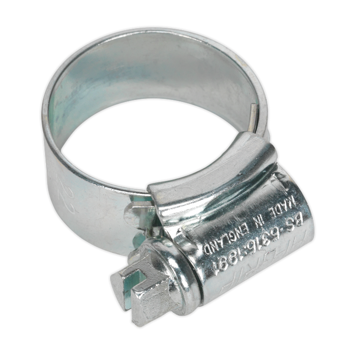 HI-GRIP® Zinc Plated Hose Clip 14-22mm - Pack of 30 | HCJ0