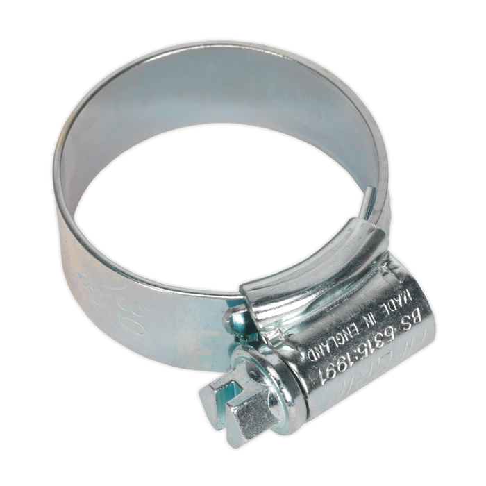 HI-GRIP® Zinc Plated Hose Clip 22-30mm - Pack of 20 | HCJ1A