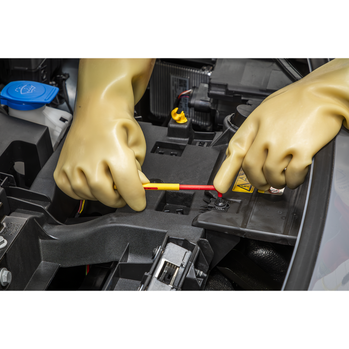 Electrician's Safety Gloves 1kV - Pair | HVG1000VL
