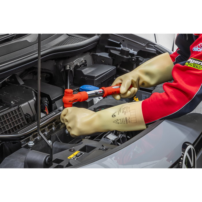 Electrician's Safety Gloves 1kV - Pair | HVG1000VL
