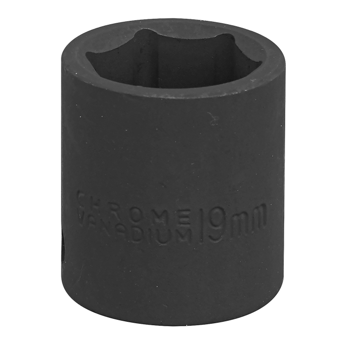 Premier Impact Socket 3/8"Sq Drive 19mm | IS3819