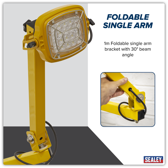 Loading Bay Floodlight 30W SMD LED | LED30WDL