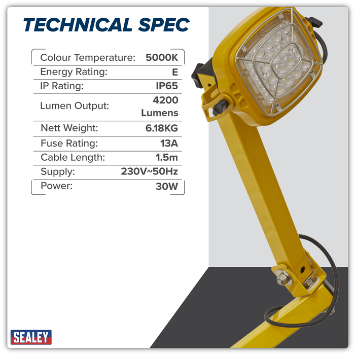 Loading Bay Floodlight 30W SMD LED | LED30WDL