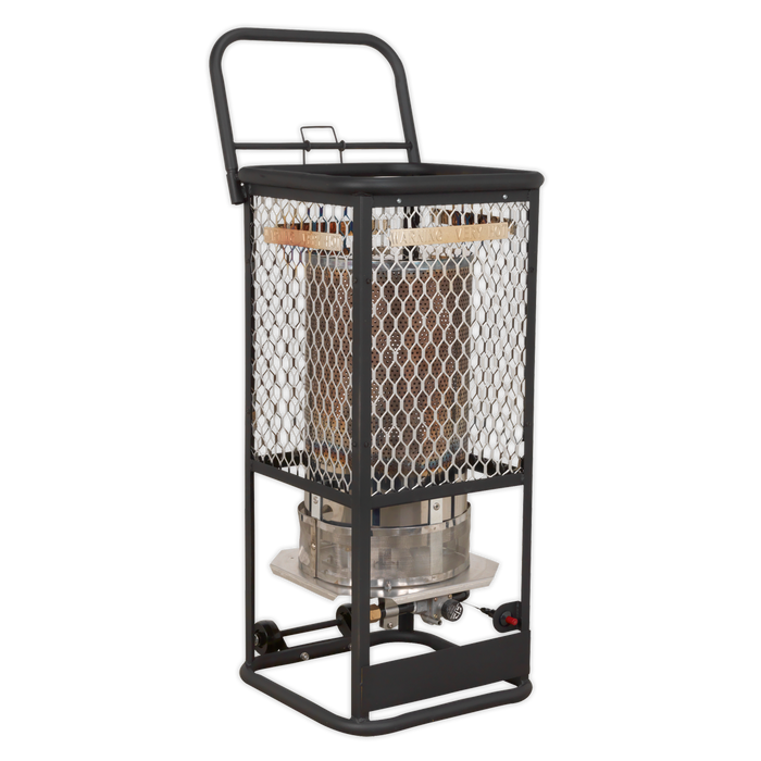 Space Warmer® Industrial Propane Heater 125,000Btu/hr | LPH125