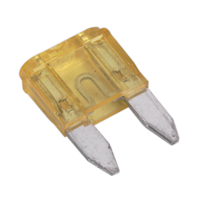 Clip Strip Deal - Automotive Mini Blade Fuses & Holders | MBFSET