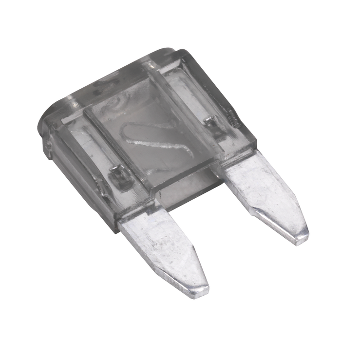 Automotive MINI Blade Fuse 2A - Pack of 50 | MBF250