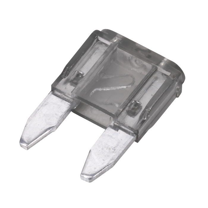 Automotive MINI Blade Fuse 2A - Pack of 50 | MBF250