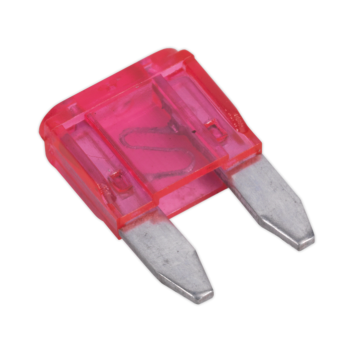 Clip Strip Deal - Automotive Mini Blade Fuses & Holders | MBFSET