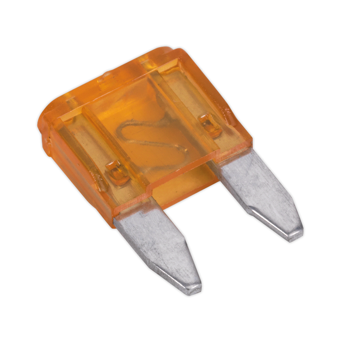Clip Strip Deal - Automotive Mini Blade Fuses & Holders | MBFSET