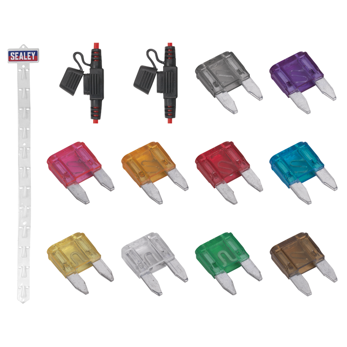 Clip Strip Deal - Automotive Mini Blade Fuses & Holders | MBFSET