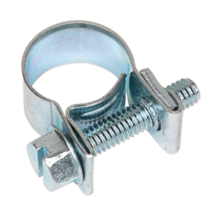 Mini Hose Clip 10-12mm - Pack of 30 | MHC1012