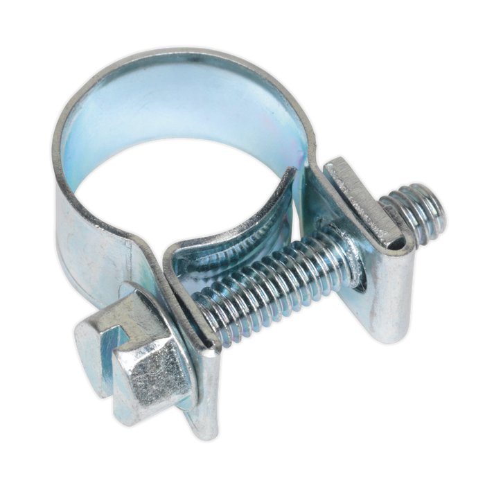 Mini Hose Clip 11-13mm - Pack of 30 | MHC1113