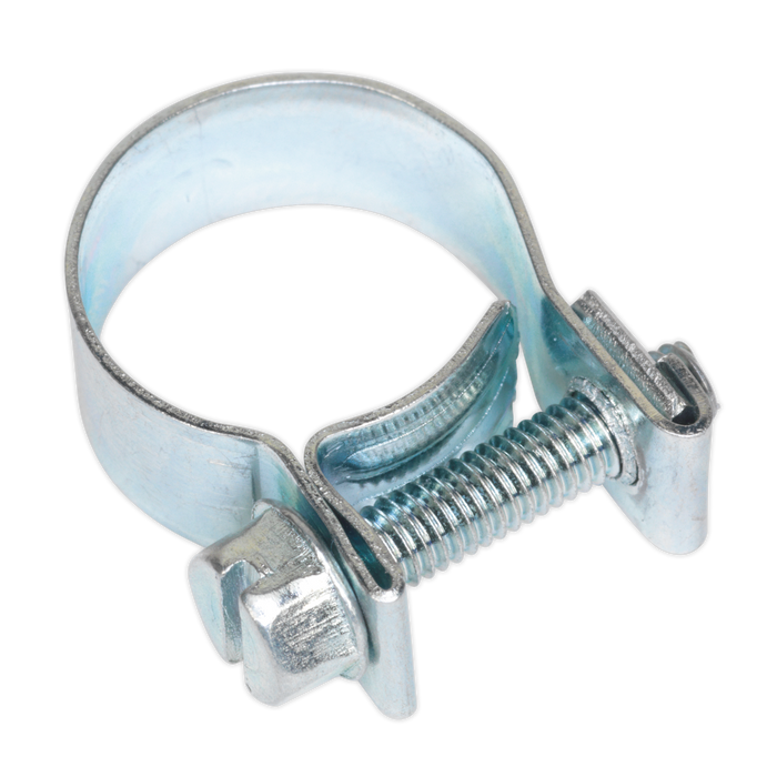 Mini Hose Clip 15-17mm - Pack of 20 | MHC1517