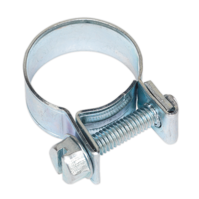 Mini Hose Clip 16-18mm - Pack of 20 | MHC1618
