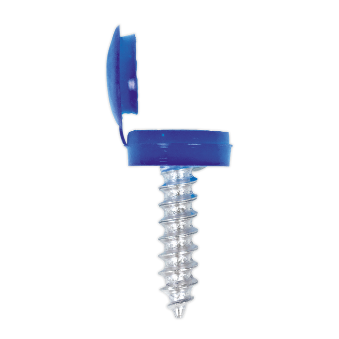 Clip Strip Deal - Mixed Numberplate Screws | NPSSET