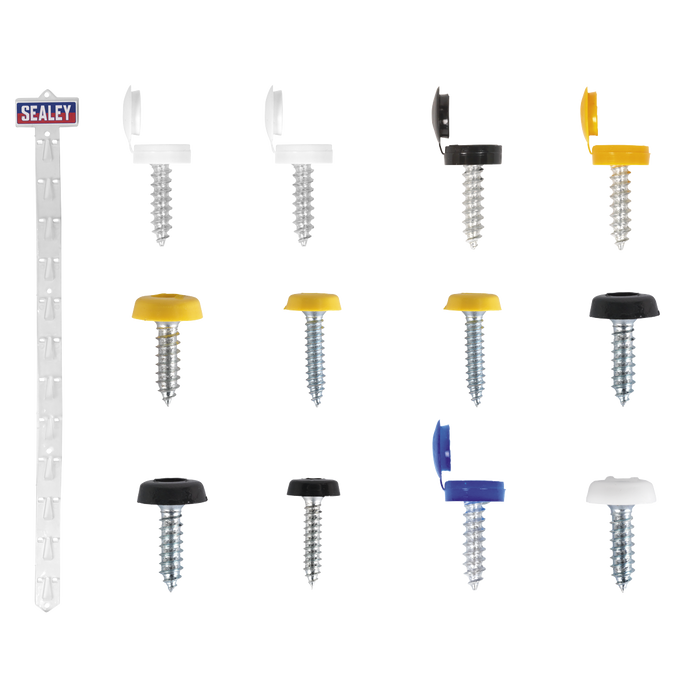 Clip Strip Deal - Mixed Numberplate Screws | NPSSET