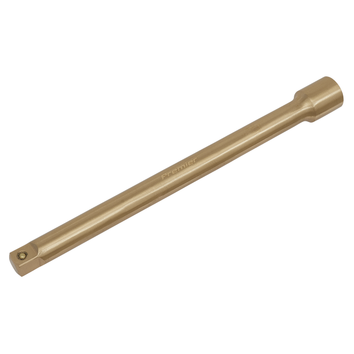 Premier Non-Sparking Extension Bar 1/2"Sq Drive 250mm | NS064