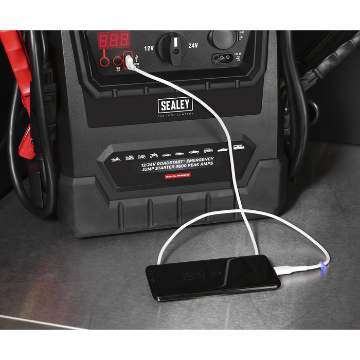 12/24V RoadStart® Emergency Jump Starter 4600 Peak Amps | PBI4424GS