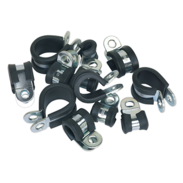 Rubber Lined P-Clip Assortment 60pc | PCJASS