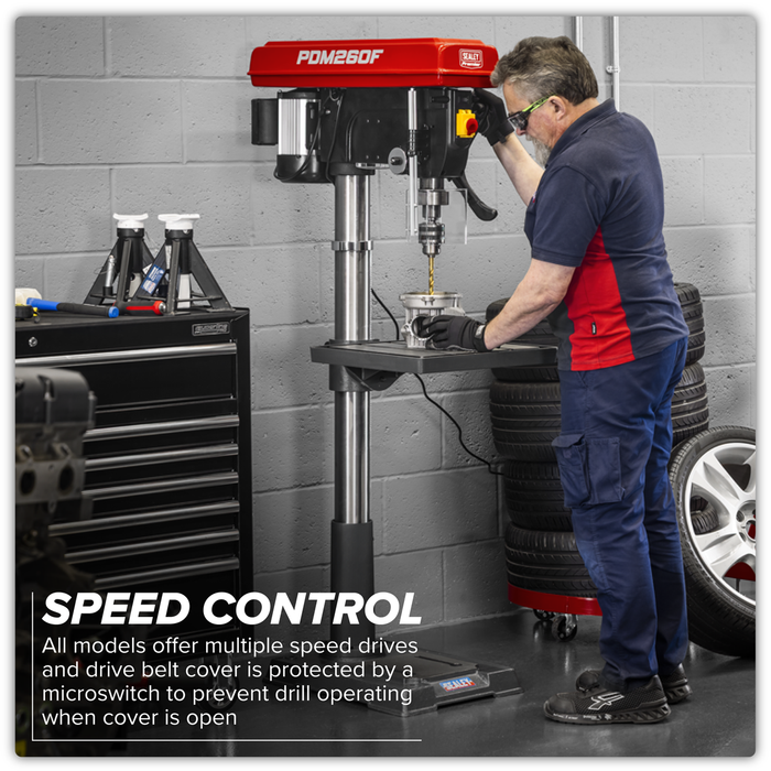 Premier Floor Standing Pillar Drill 12-Speed 1100W/230V | PDM260F