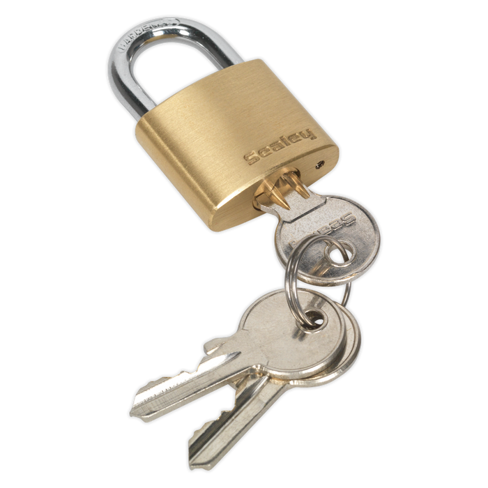 Brass Body Padlock 30mm | PL100