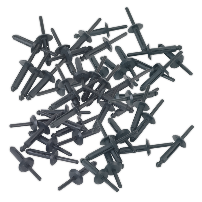 Plastic Rivet 6.3 x 25.2mm - Pack of 50 | PR002